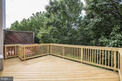 5137 Beauregard St, Alexandria, VA 22312 - photo 7