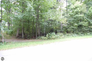 34 Sugar Maple Dr, Centerville Township, MI 49621 - photo 2