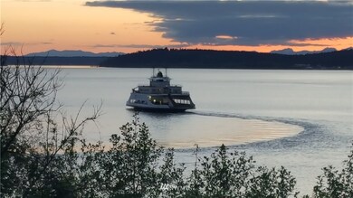 The ferry heading to Anderson Island. Olympic mountains in the background.