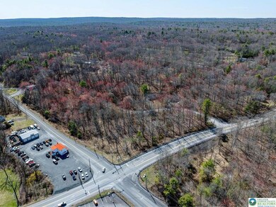 0 Lot85a unit 755921, Pike, PA 18328 - photo 7