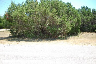 29021 Whisperwood Dr & Radde Rd, Whitney, TX 76692 - photo 3