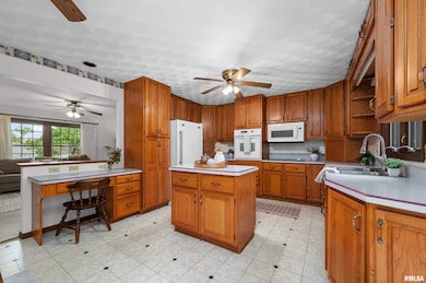 4836 W Pleasant St, Davenport, IA 52804 - photo 7