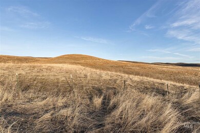 1344 Mann Creek Rd, Weiser, ID 83672 - photo 4