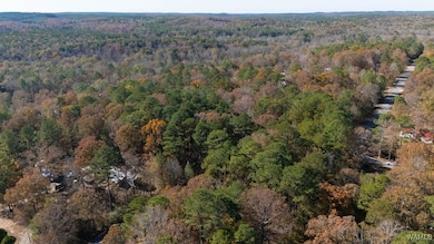 0 Jerry Dr unit 171997, McCalla, AL 35111 - photo 4