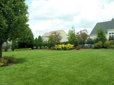BACK YARD VIEW