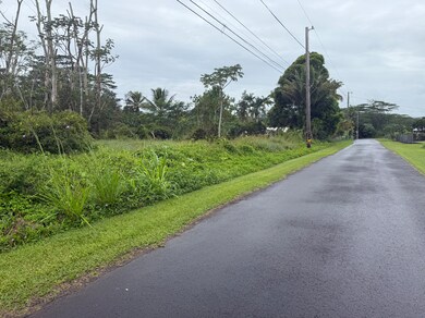 0 Awa St unit 725782, Hawaiian Beaches, HI 96778 - photo 3