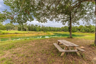 1126 Abel Rd, New Ulm, TX 78950 - photo 2