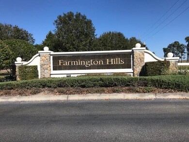 9730 Preakness Stakes Way, Dade City, FL 33525 - photo 2