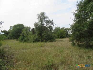 507 County Road 405, Buckholts, TX 76518 - photo 6