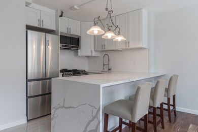 Tremont on the Common unit 7S, Boston, MA 02111 - photo 4