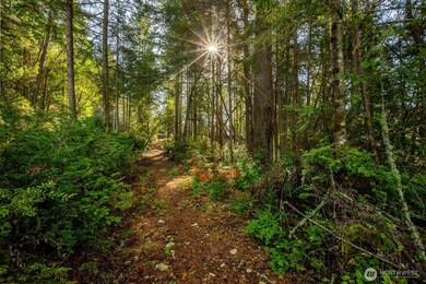 11104 Matthews Way, Anderson Island, WA 98303 - photo 5