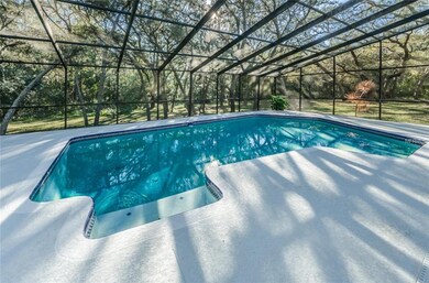 BEAUTIFUL POOL OVERLOOKING THE WOODED BACKYARD