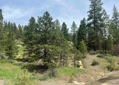 TBD Napias Lot 21, Boise, ID 83716 - photo 4