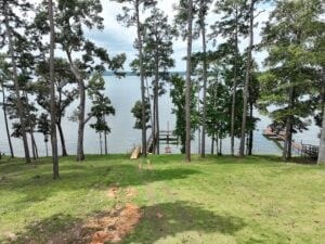 188 Pebble Shores Dr, Fort Gaines, GA 39851 - photo 5