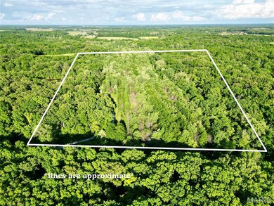 Aerial view of property and surrounding area featuring a heavily wooded area and property boundaries highlighted