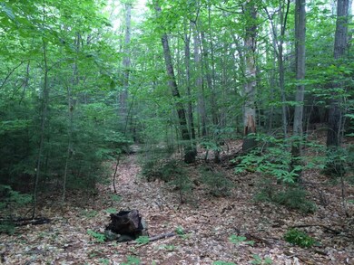 0 Sulphur Hill Rd unit 4507259, Hillsborough, NH 03244 - photo 3