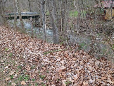 Creek behind property
