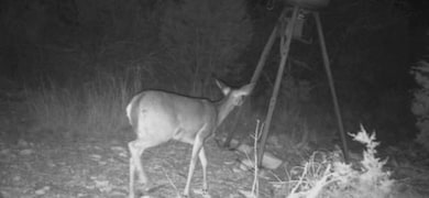 0 Fairview Rd unit 145, Rocksprings, TX 78880 - photo 3