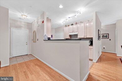 5006 Hollington Dr unit 204, Owings Mills, MD 21117 - photo 6