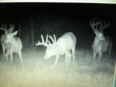 0 County Road Gg unit 50317557, Iola, WI 54945 - photo 2