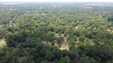 0 Hwy 3n unit 161947, Baconton, GA 31716 - photo 6