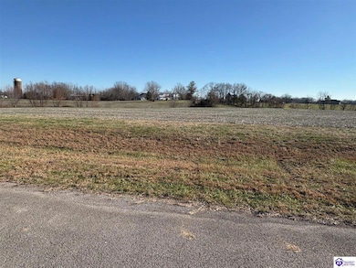 168 Owl Creek Dr, Vine Grove, KY 40175 - photo 2