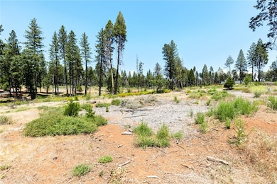 13771 Finch Ct, Magalia, CA 95954 - photo 3