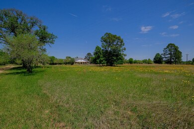 30670 Joseph Rd, Hockley, TX 77447 - photo 5