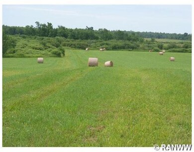 W3010 Town Line Rd, Glen Flora, WI 54526 - photo 5