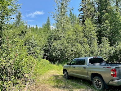 Nhn McMannamy Draw, Kalispell, MT 59901 - photo 5