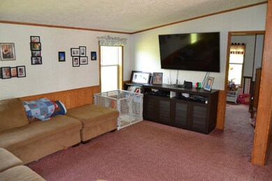 51 230th Ave, Reed City, MI 49677 - photo 5