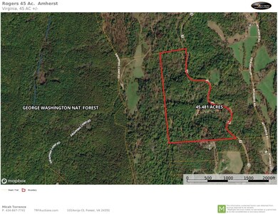 0 Lexington Turnpike unit 342098, Oronoco, VA 24521 - photo 6