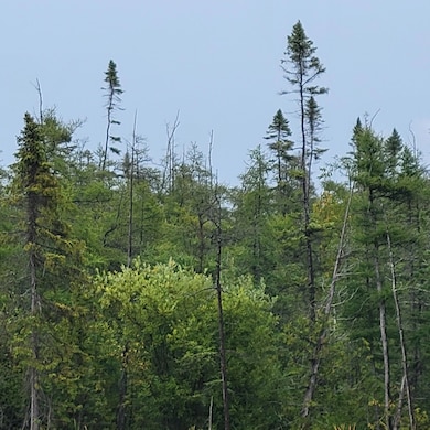 V/L 40AC W Hamilton Rd, Alpena, MI 49707 - photo 5