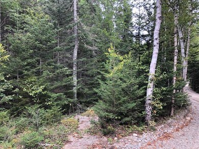 Lot 12 B Duck Cove Rd, Roque Bluffs, ME 04654 - photo 2