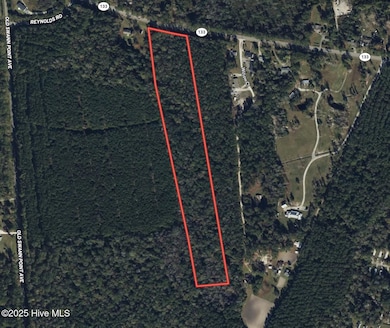 0 Near 715 N Carolina 133, Rocky Point, NC 28457 - photo 3