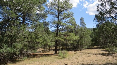 IMG_5435-1024x576