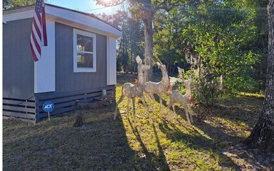 3521 SW Wilson Springs Rd, Fort White, FL 32038 - photo 7