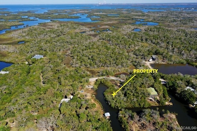 14788 W Hide a Way Dr, Crystal River, FL 34429 - photo 4