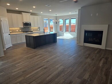 545 Pickett Creek Dr, Hudson Oaks, TX 76087 - photo 6