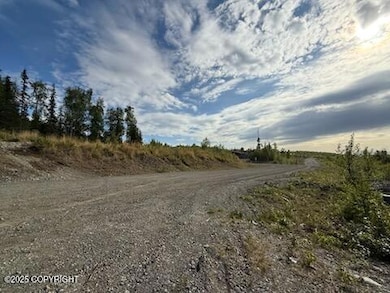 IMG_0159_1748054600919