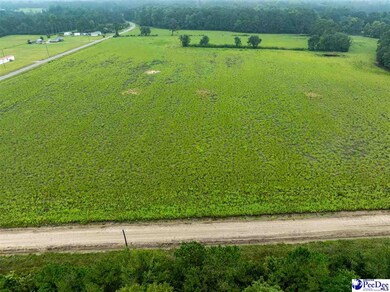 Lot 6 Tansy Rd, Loris, SC 29569 - photo 2