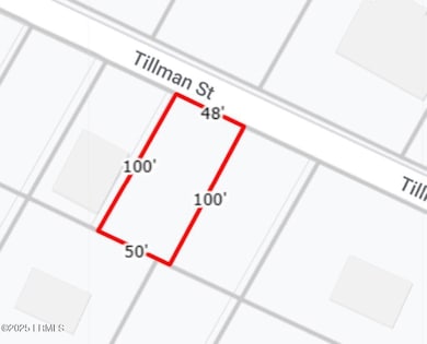 12 Tillman St, Bluffton, SC 29910 - photo 4