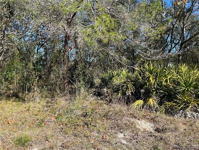 6883 W Merrivale Ln, Homosassa, FL 34446 - photo 2