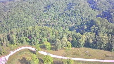 0 Peninsulas Edge Dr unit RTC3042168, Smithville, TN 37166 - photo 5