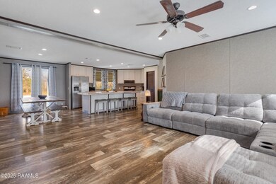 1206 Cypress Island Hwy, Saint Martinville, LA 70582 - photo 4