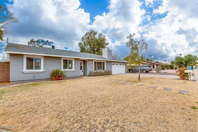 Expansive Front Yard
