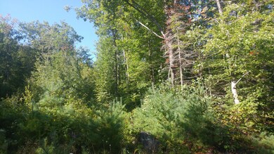 Lot 9 Hopper Rd, Acton, ME 04001 - photo 2
