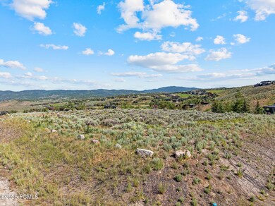 3-web-or-mls-DJI_20250617084243_0181_D