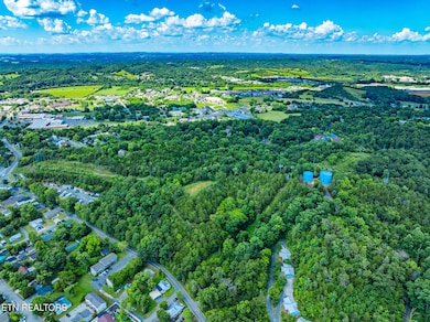 0 Lots 1 2 3 and 21 Ridge Rd unit 1307889, Sevierville, TN 37862 - photo 7