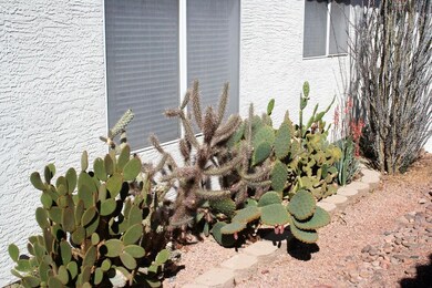 756 E Gary Dr, Chandler, AZ 85225 - photo 5